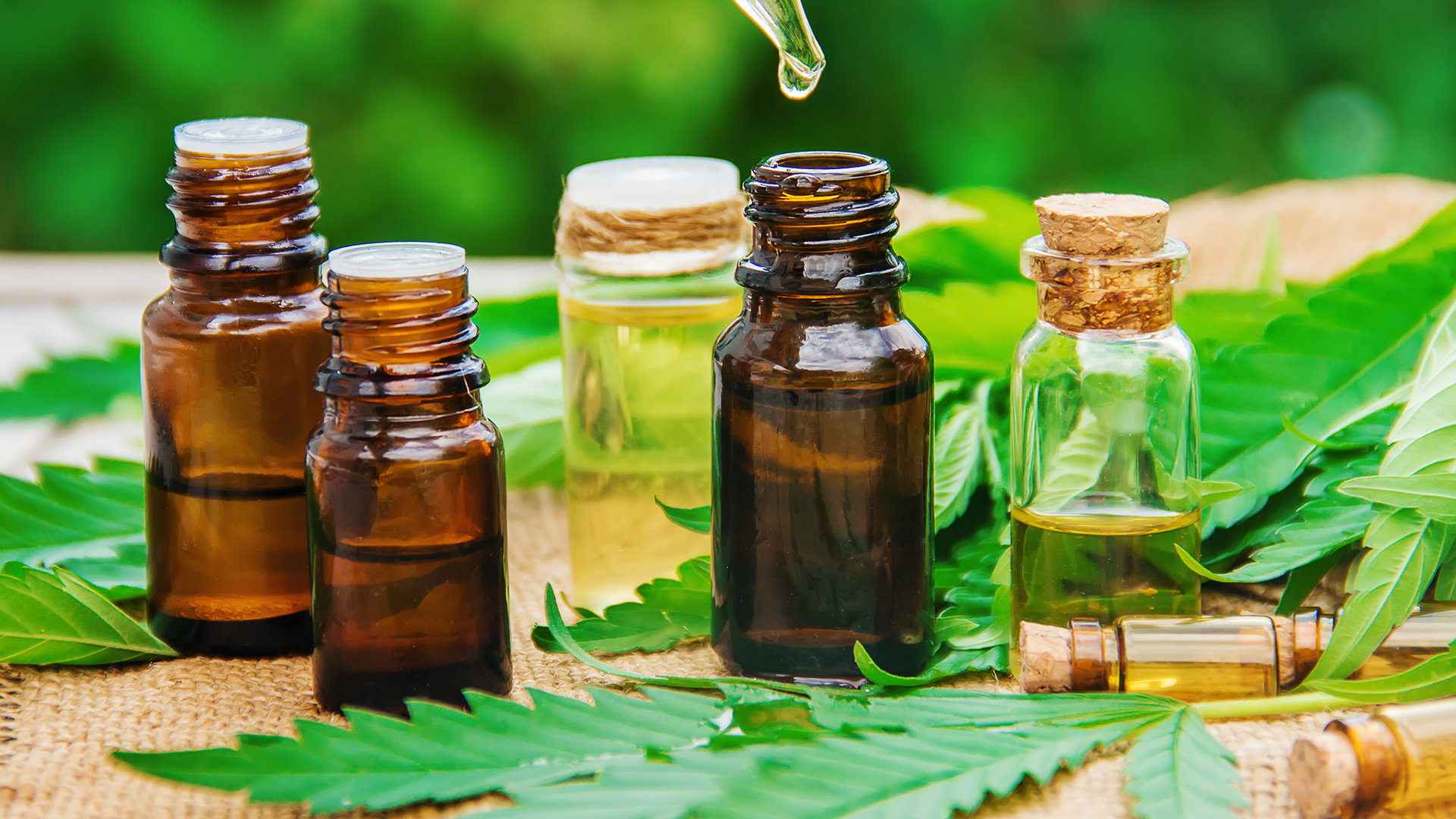 Major Well being Benefits of CBD or CBD Oil