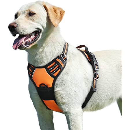 The Fundamental Guide to Picking out the Excellent Custom made No Take Canine Harness