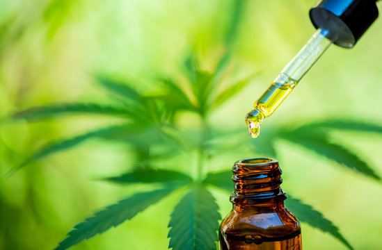 Calming Effects of CBD Oil: Finding the Best Solution for Anxiety